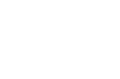 Solo logo