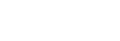 Zeppelin logo