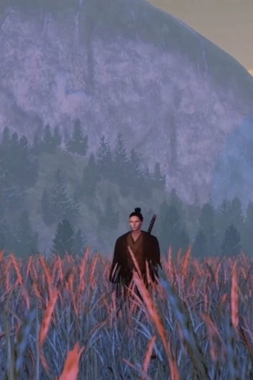 Samuraï