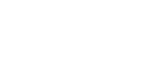Where Stars Land logo