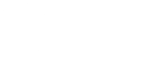 DSP logo