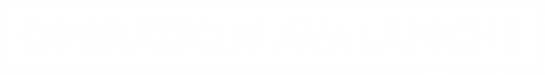 Operation Avalanche logo