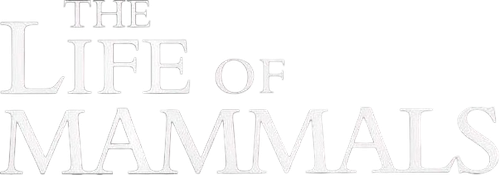 The Life of Mammals logo