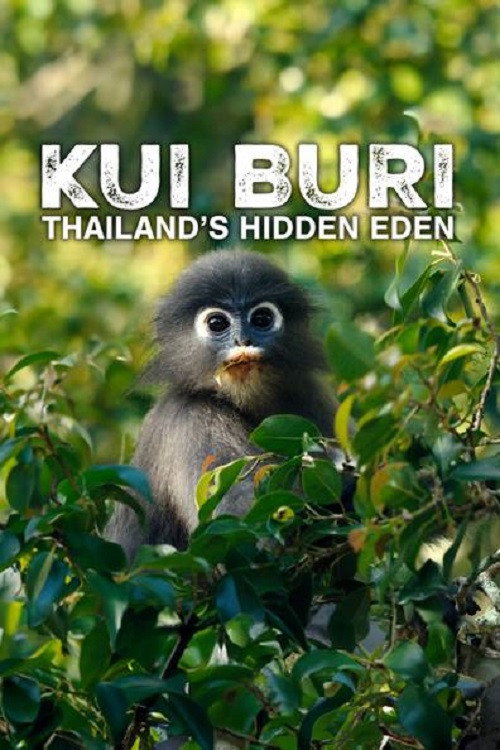 Kui Buri, un écrin sauvage en Thaïlande