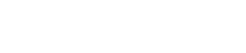 Wild Wild Country logo
