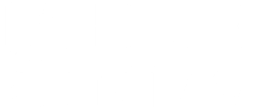 The Girl Downstairs logo
