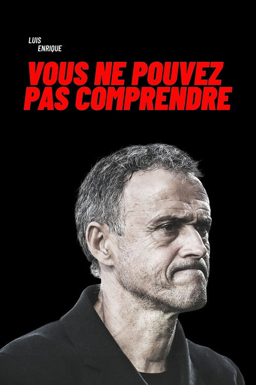 Luis Enrique : Vous ne pouvez pas comprendre !