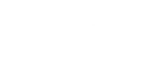 A Diarista logo