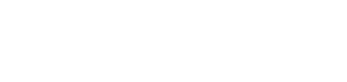 Carville: Winning Is Everything, Stupid logo