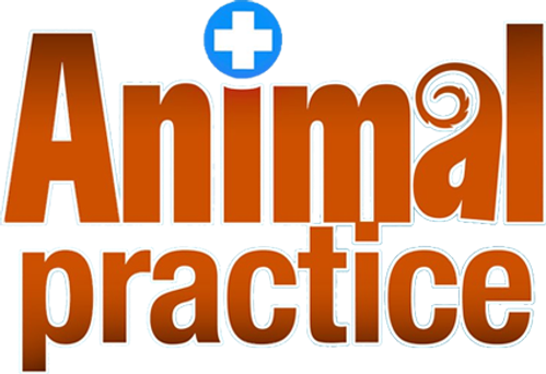 Animal Practice logo