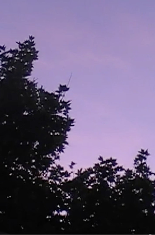 Towards The Night