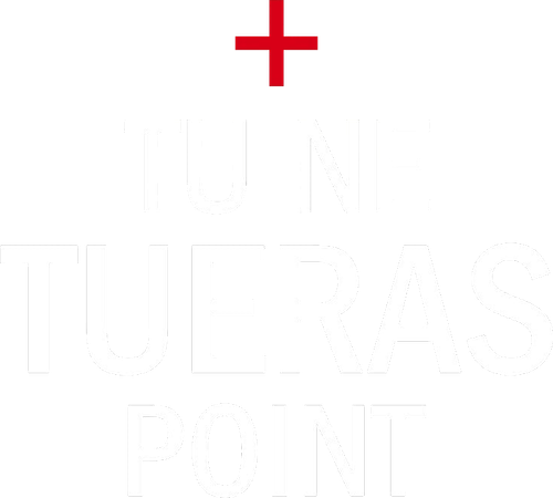 Tu ne tueras point logo