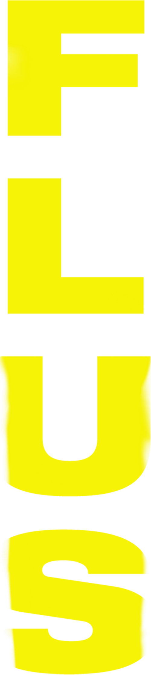 Flus logo