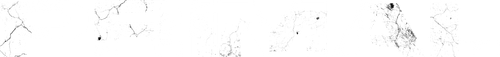 Primal logo