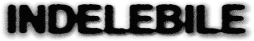 Indelebile logo