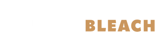 Beauty and the Bleach logo