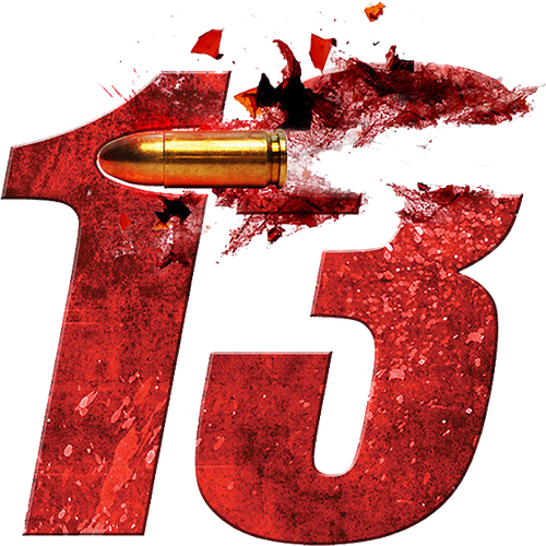 13 logo