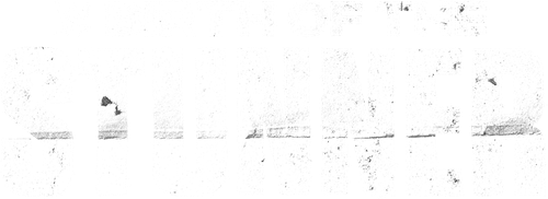 Birth of The Stunner logo
