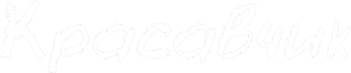 Bel Ami logo
