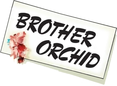 Brother Orchid logo