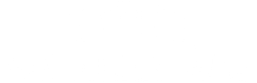 Fievel's American Tails logo