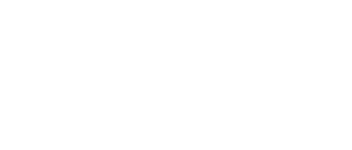 Ngenest logo