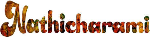 ನಾತಿಚರಾಮಿ logo