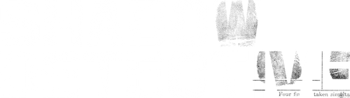 Shadow Detective logo