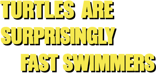 Turtles Are Surprisingly Fast Swimmers logo
