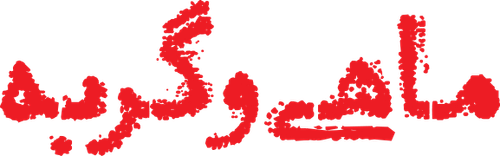 Fish & Cat logo