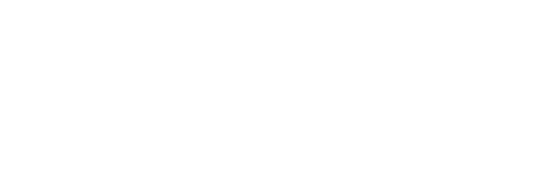 The Lifeguards logo