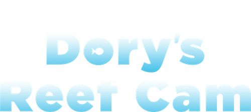 Dory's Reef Cam logo