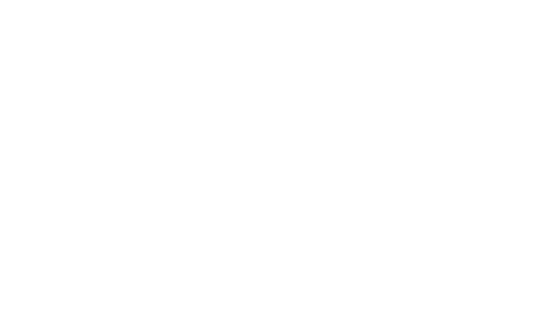 My Secret of Seer logo