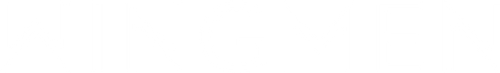 Wingmen logo