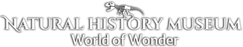 Natural History Museum: World of Wonder logo