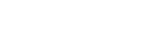Fountain of Youth logo