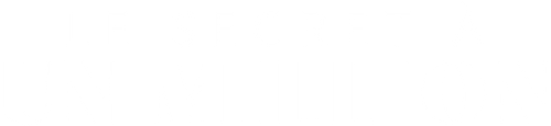 Million Dollar Secret logo