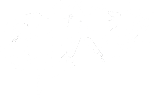 星辰大海 logo