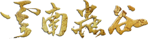 Candle in the Tomb: The Worm Valley logo