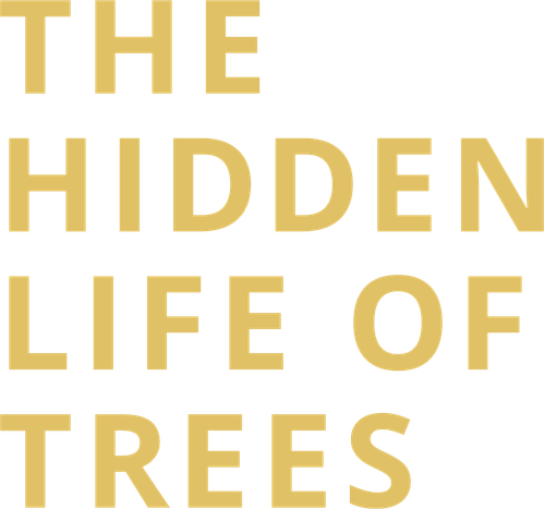 The Hidden Life of Trees logo