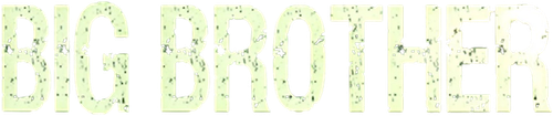 Big Brother logo