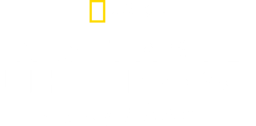 No Taste Like Home with Antoni Porowski logo