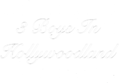 3 Boys In Hollywoodland logo