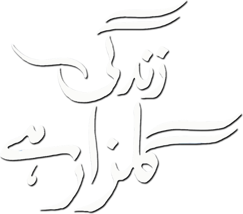 زندگی گلزار ہے logo