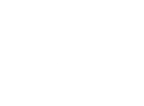 Dirty Laundry logo