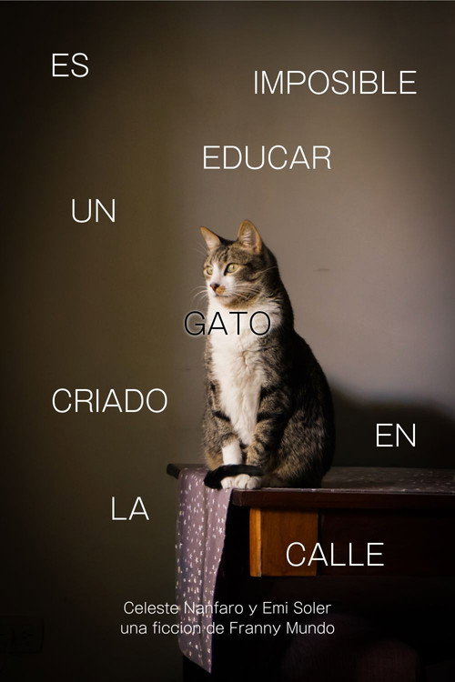 Es Imposible Educar Un Gato Criado en la Calle