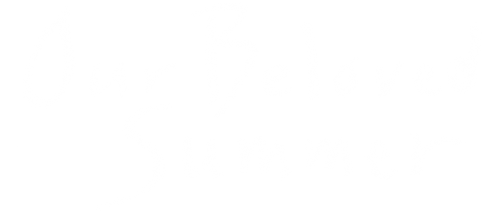 Our Beloved Summer logo