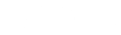 Ladies in Black logo