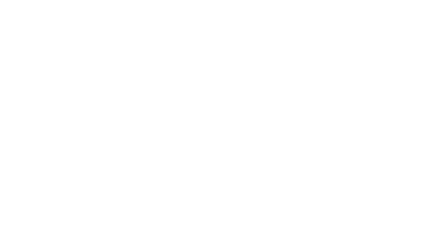 The Doctor Takes a Wife logo