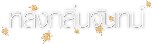 Lost Scent logo